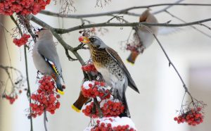 img_9090g
