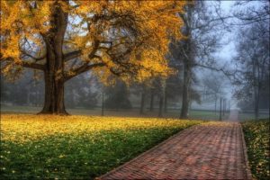 spalvingos-rudens-nuotraukos-013