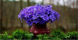 images-42